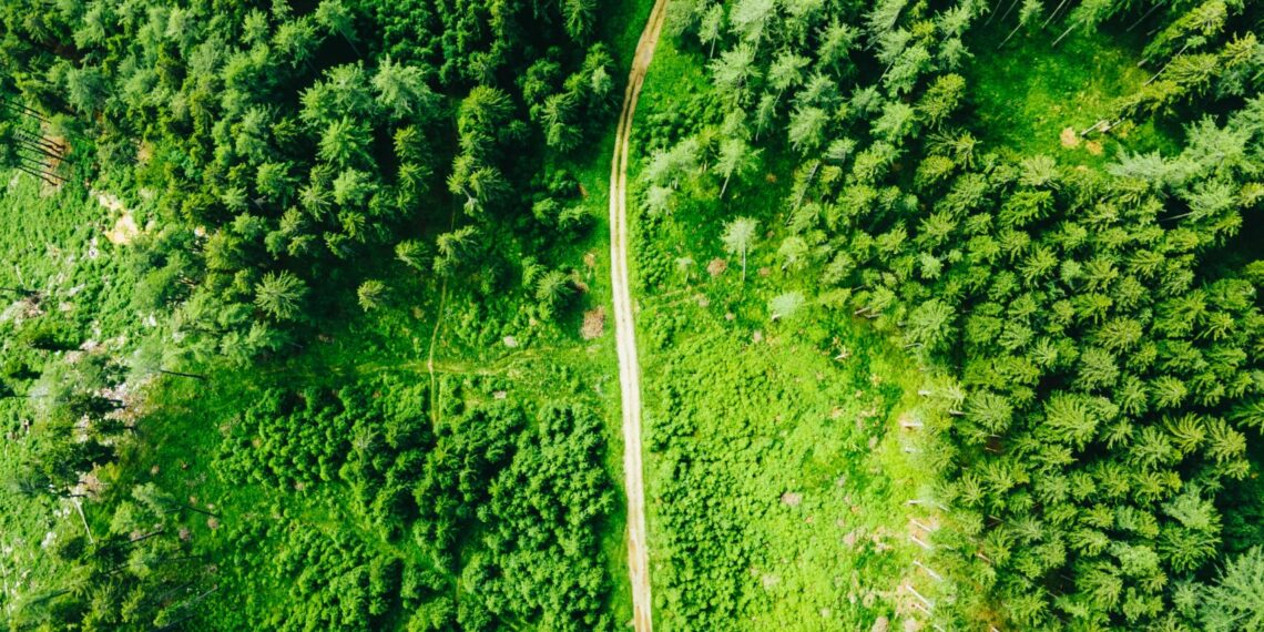 Fortschritte in Richtung der gesetzten Dekarbonisierungsziele