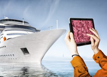 Korrosionsschutz mit plättchenförmigen Metallphosphat Partikeln.