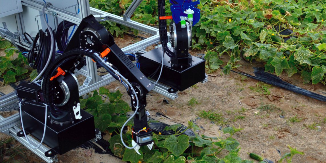 Roboter CATCH bei der Gurkenernte. Bild: Fraunhofer IPK