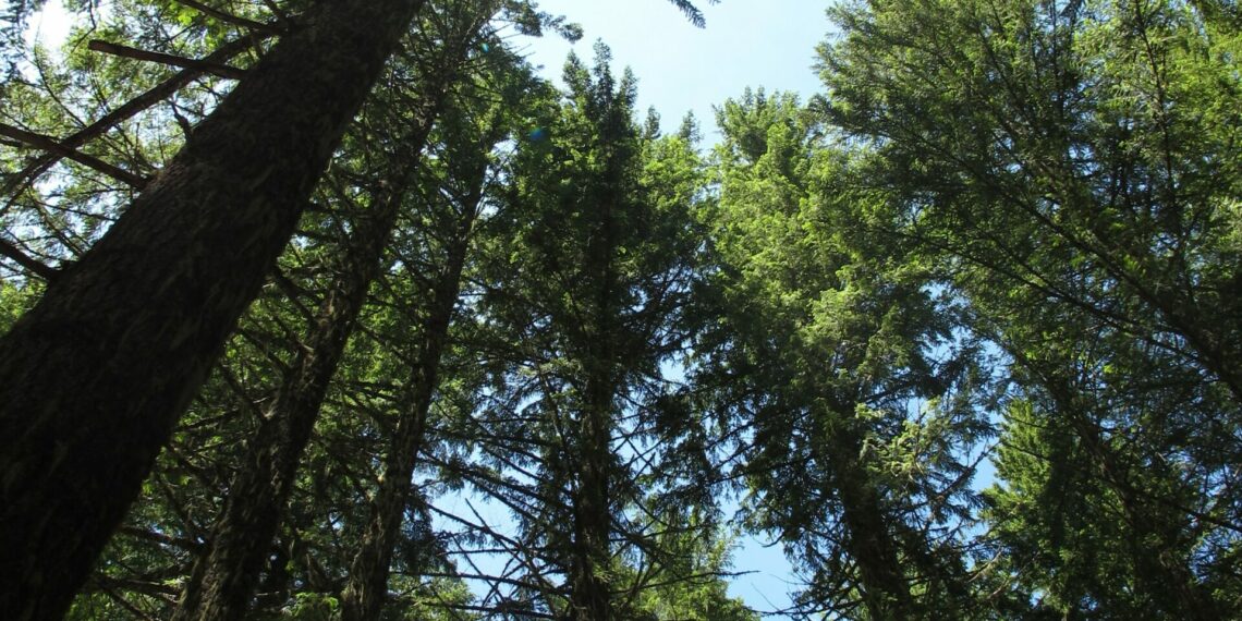 Part­ner­schaft im Bereich CO2-Management