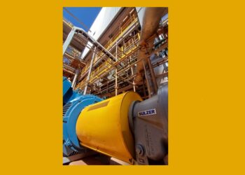 Pum­pen­tech­no­lo­gie zur Her­stel­lung von Biokraftstoffen