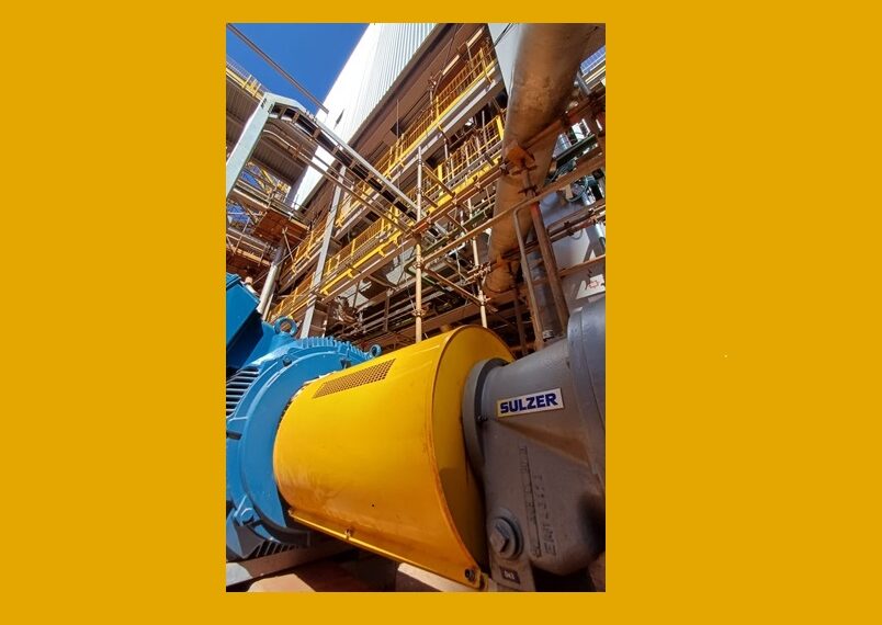 Pum­pen­tech­no­lo­gie zur Her­stel­lung von Biokraftstoffen