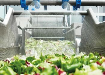 Waschen und Schnei­den von Salat, Gemü­se und Obst