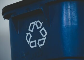 Stär­kung des Verpackungsrecyclings