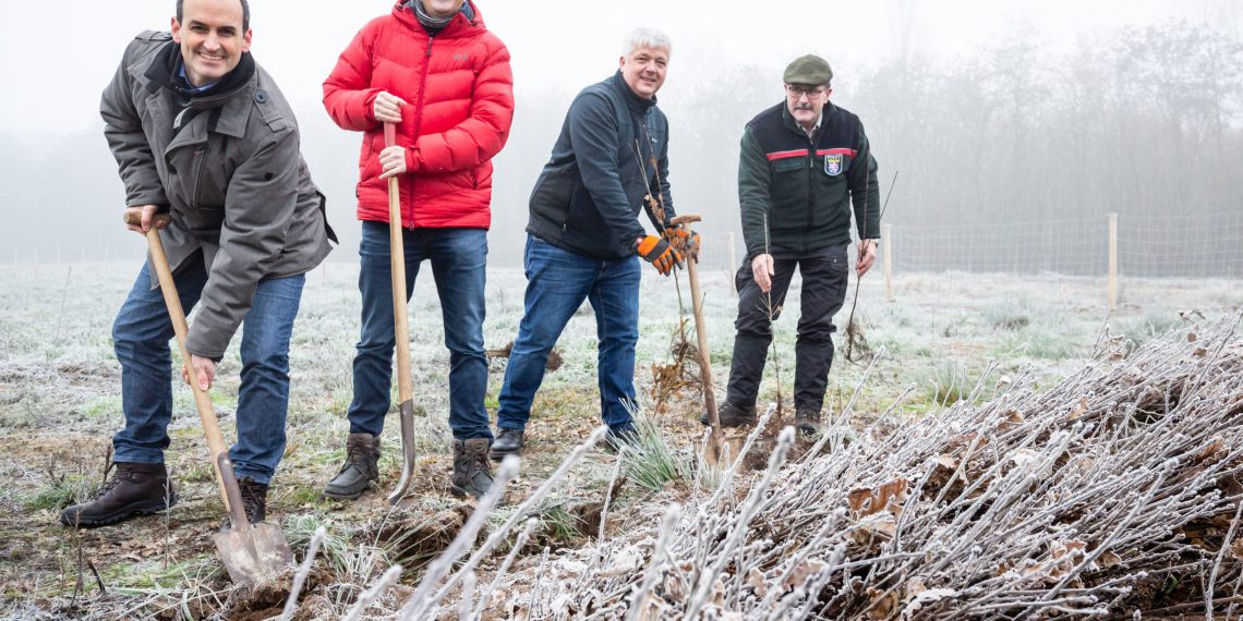 Im Einsatz für die Umwelt: Karl-Heinz Fuchs, Head of Commercial bei SMC Deutschland, und Pascal Borusiak, Head of Business Processes, pflanzen gemeinsam mit Christian Bauer, Manager Quality, Environment, Health & Safety, sowie Klaus Velbecker von HessenForst – Forstamt Groß-Gerau die ersten von mehr als 4.200 Bäumen, die das Klima am Mönchhofdreieck zukünftig verbessern. (Bild: SMC Deutschland)