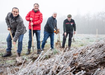 Im Einsatz für die Umwelt: Karl-Heinz Fuchs, Head of Commercial bei SMC Deutschland, und Pascal Borusiak, Head of Business Processes, pflanzen gemeinsam mit Christian Bauer, Manager Quality, Environment, Health & Safety, sowie Klaus Velbecker von HessenForst – Forstamt Groß-Gerau die ersten von mehr als 4.200 Bäumen, die das Klima am Mönchhofdreieck zukünftig verbessern. (Bild: SMC Deutschland)