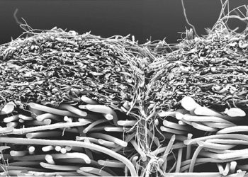 Faservliesstoff und Feinfaservliesstoff wasserstrahlverfestigt. (Bild: Stfi/Hycofil)